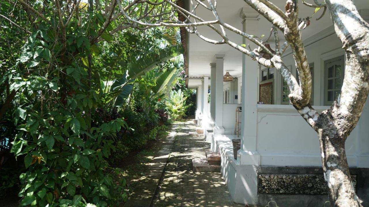 Endless Summer Surf Camp Kuta Kuta  Exterior photo