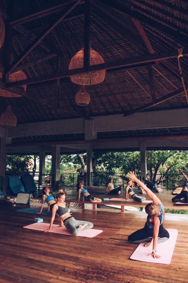 Endless Summer Surf Camp Kuta Kuta  Exterior photo
